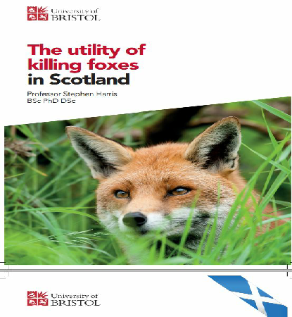 The utility of killing foxes in Scotland