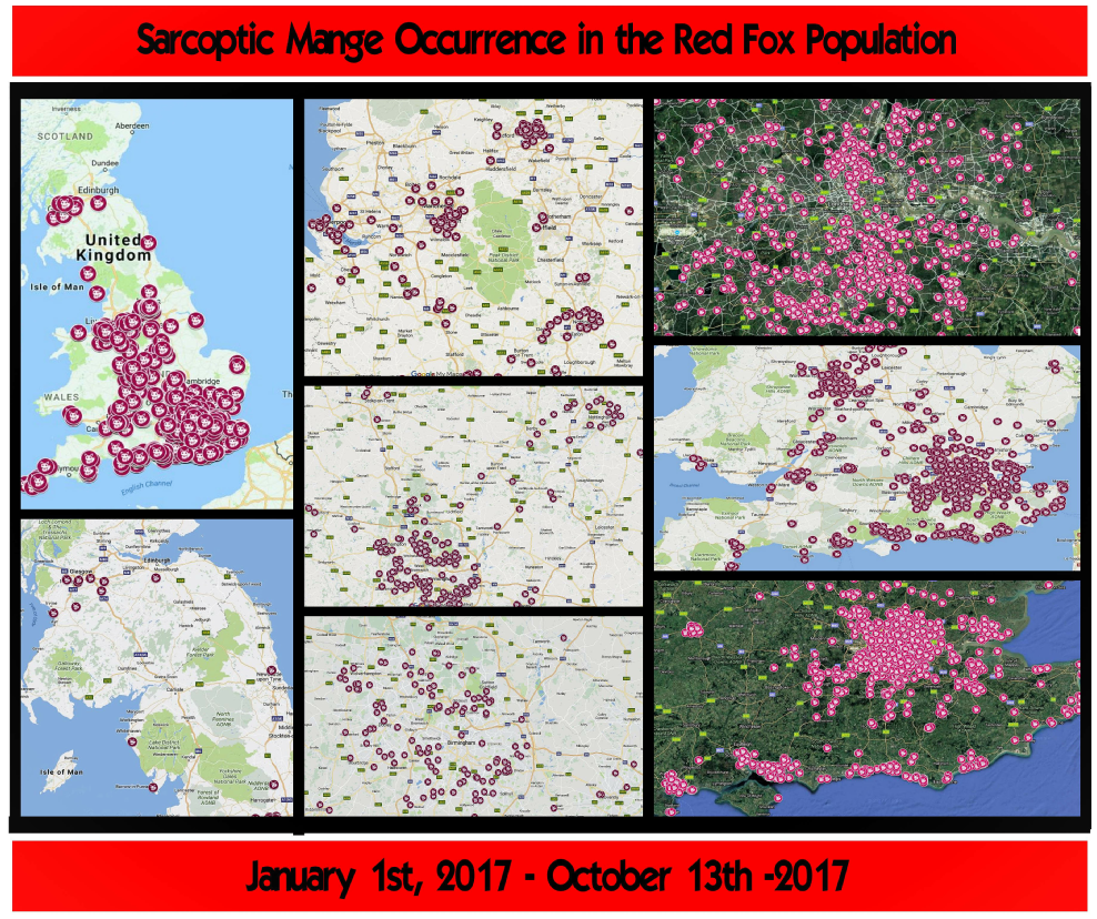 Sarcoptic-Mange-Occurrence-Red-Fox-UK Jan - October 2017